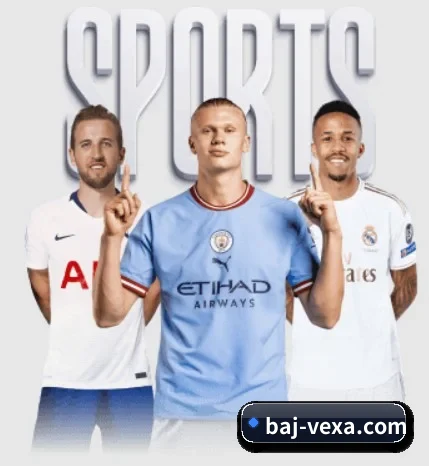 八戒体育围绕看球场景设计的核心服务 - 多运动项目内容板块(BAJIESPORTS)