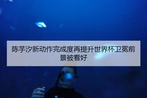 陈芋汐新动作完成度再提升世界杯卫冕前景被看好